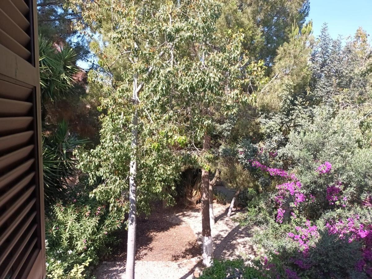 Limnaria Deluxe Maisonette Paphos Eksteriør bilde